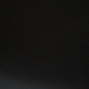 Meet your Posher, Noah